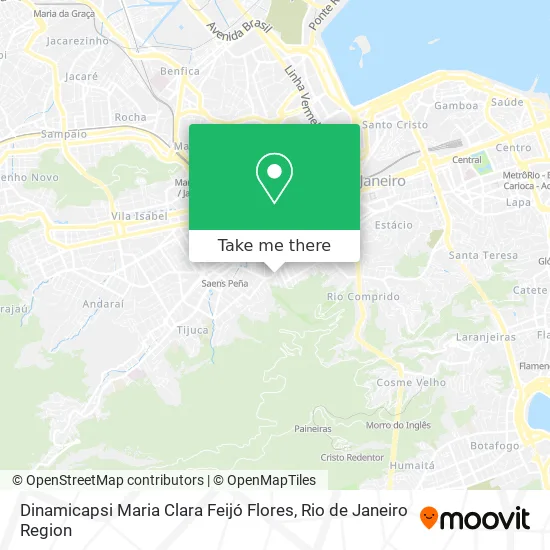 Dinamicapsi Maria Clara Feijó Flores map