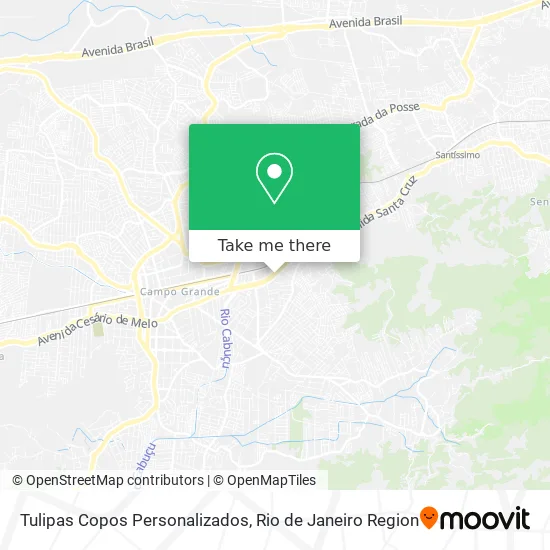 Tulipas Copos Personalizados map