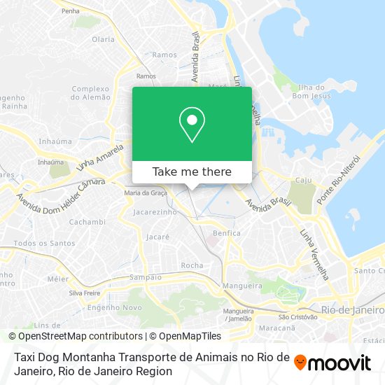 Mapa Taxi Dog Montanha Transporte de Animais no Rio de Janeiro