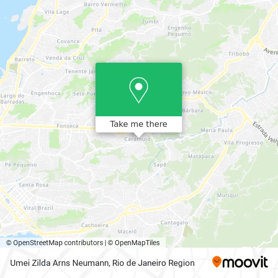 Umei Zilda Arns Neumann map