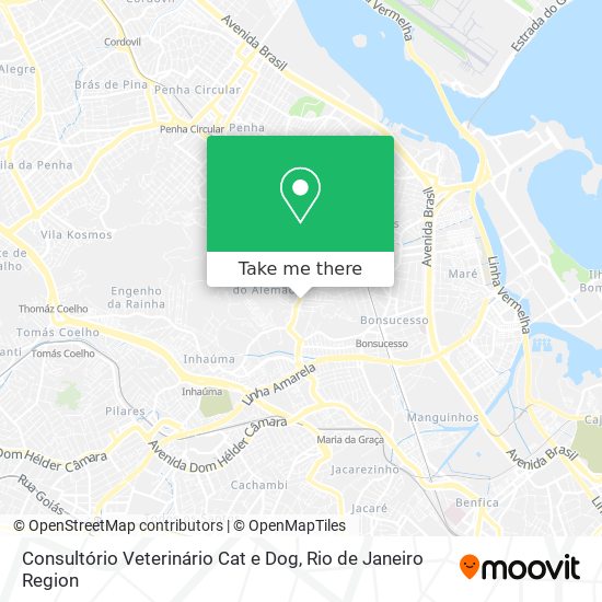 Consultório Veterinário Cat e Dog map