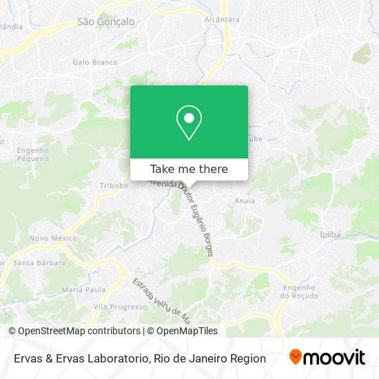 Ervas & Ervas Laboratorio map