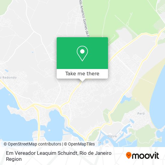 Em Vereador Leaquim Schuindt map