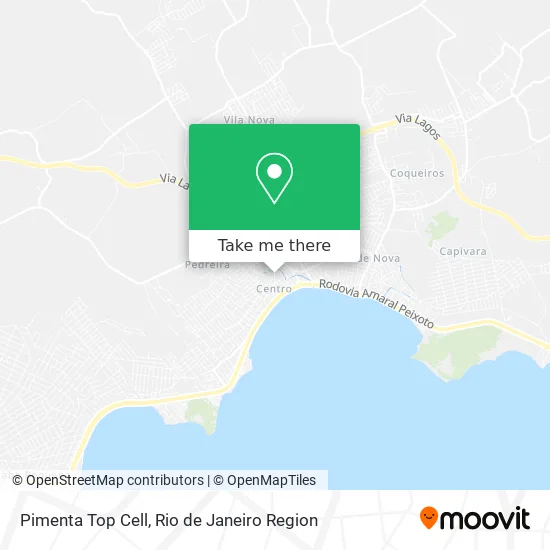 Pimenta Top Cell map