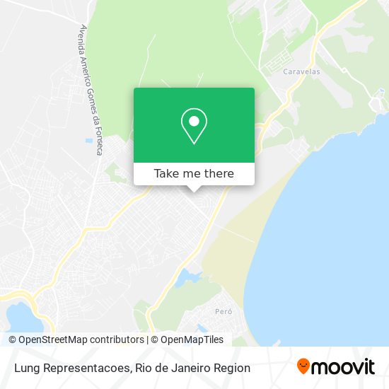 Lung Representacoes map