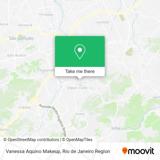 Vanessa Aquino Makeup map