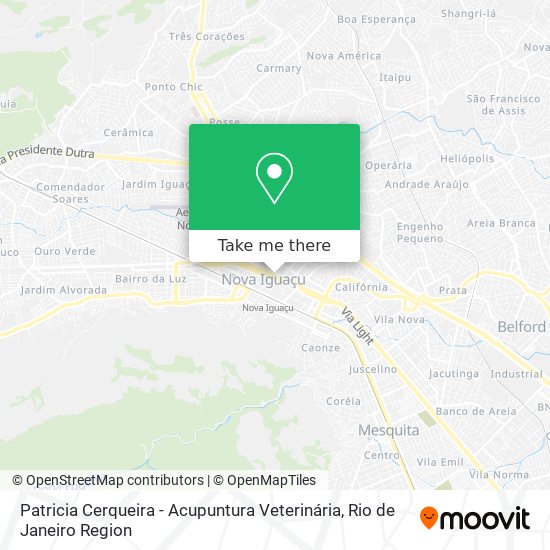 Mapa Patricia Cerqueira - Acupuntura Veterinária