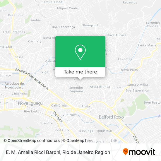 E. M. Amelia Ricci Baroni map