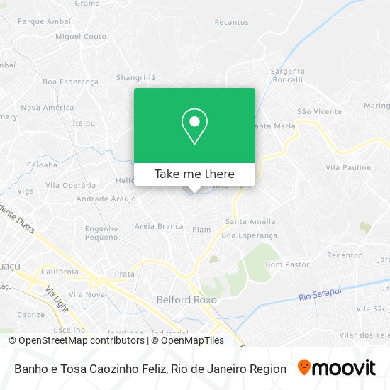 Banho e Tosa Caozinho Feliz map