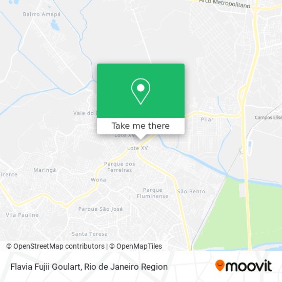 Flavia Fujii Goulart map