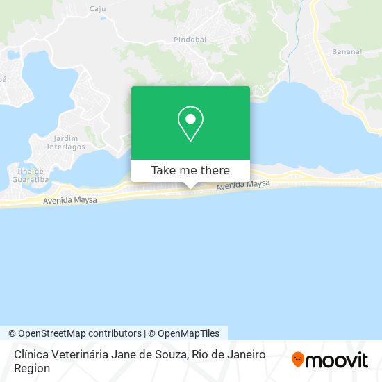 Clínica Veterinária Jane de Souza map