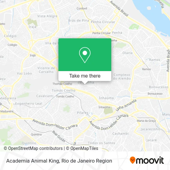 Academia Animal King map