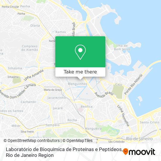 Laboratório de Bioquímica de Proteínas e Peptídeos map