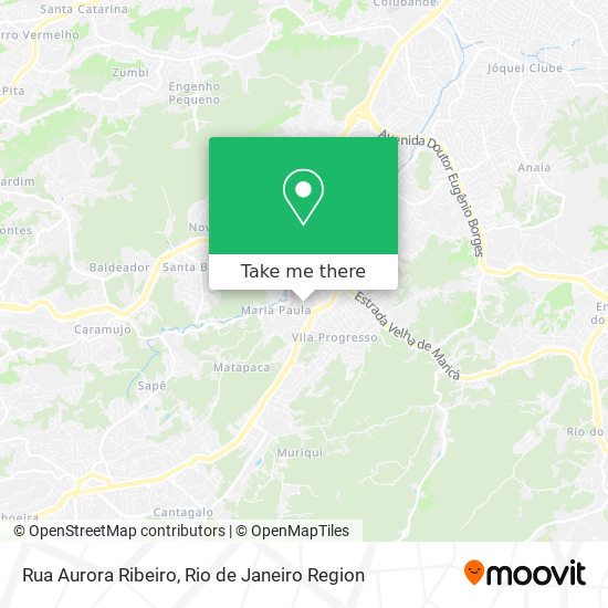 Rua Aurora Ribeiro map