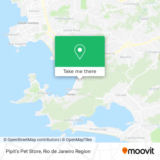 Pipit's Pet Store map