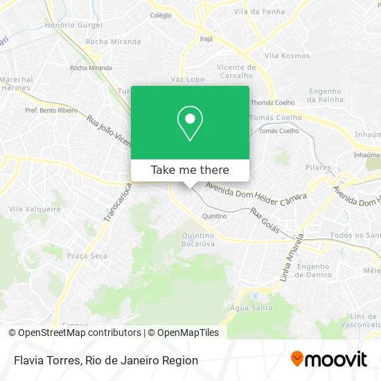 Flavia Torres map