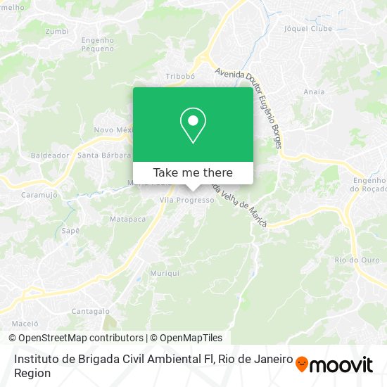 Instituto de Brigada Civil Ambiental Fl map