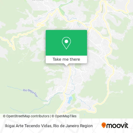 Ikigai Arte Tecendo Vidas map