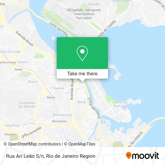 Rua Ari Leão S/n map