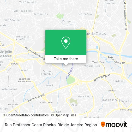 Rua Professor Costa Ribeiro map
