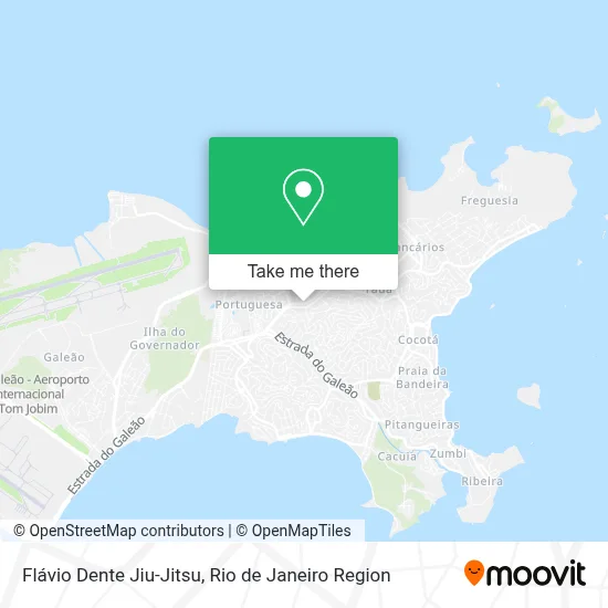 Flávio Dente Jiu-Jitsu map