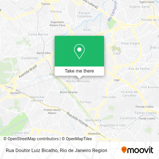 Rua Doutor Luiz Bicalho map
