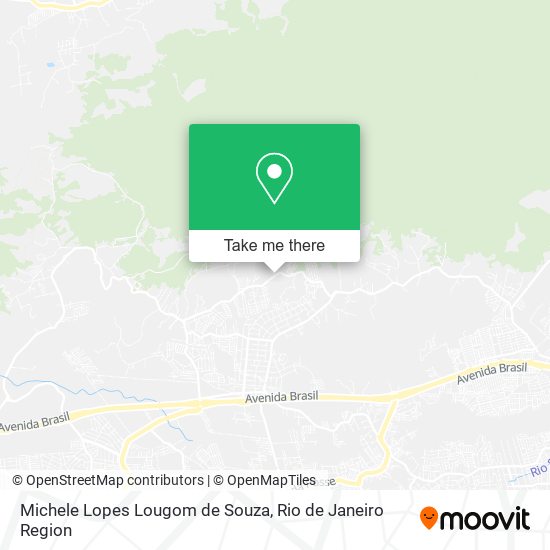 Michele Lopes Lougom de Souza map