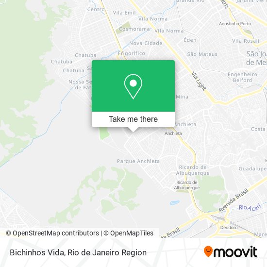 Bichinhos Vida map