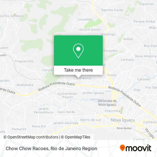 Mapa Chow Chow Racoes