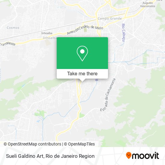 Sueli Galdino Art map