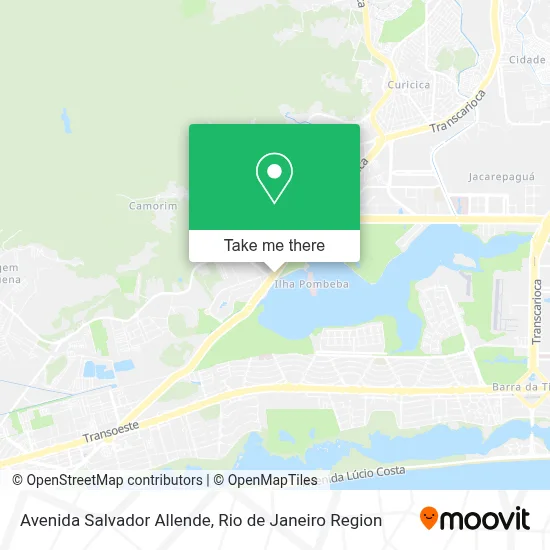 Avenida Salvador Allende map