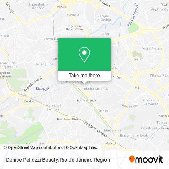 Denise Pellozzi Beauty map