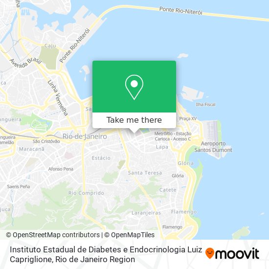 Instituto Estadual de Diabetes e Endocrinologia Luiz Capriglione map