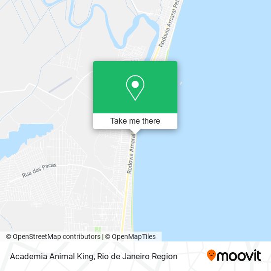 Academia Animal King map