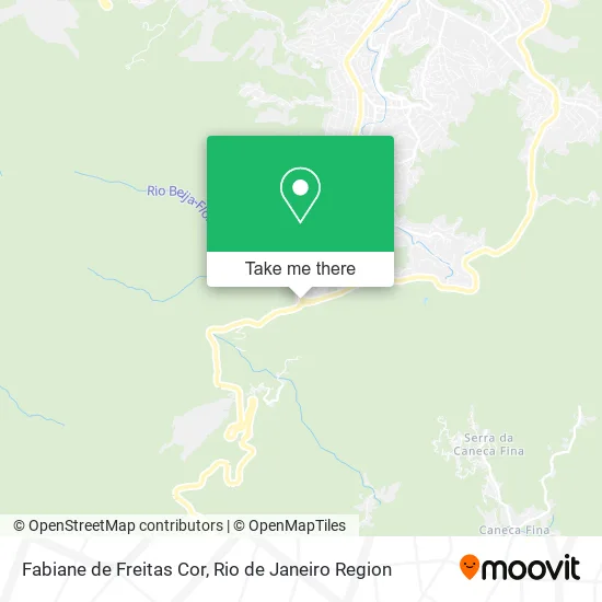 Fabiane de Freitas Cor map