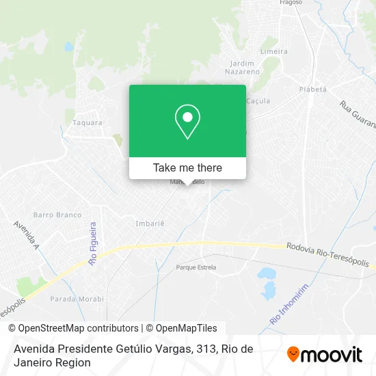 Avenida Presidente Getúlio Vargas, 313 map