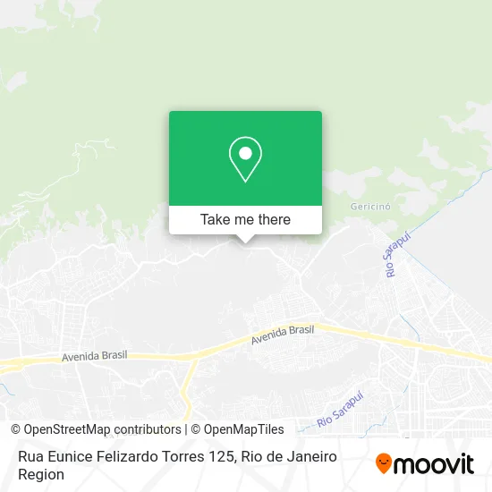 Rua Eunice Felizardo Torres 125 map