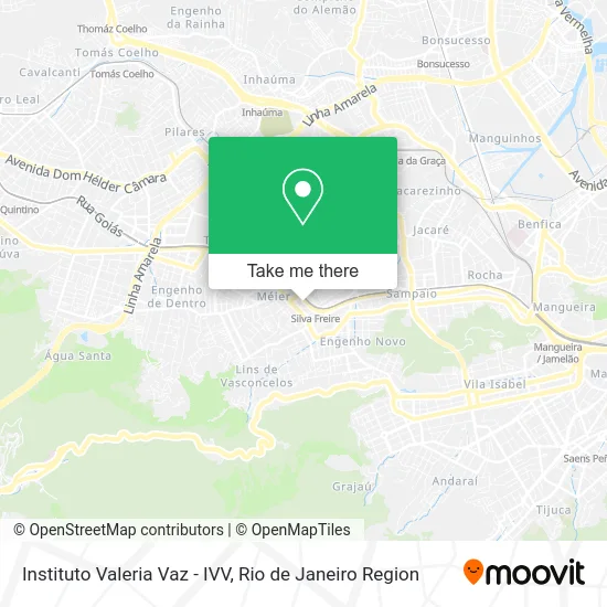 Instituto Valeria Vaz - IVV map