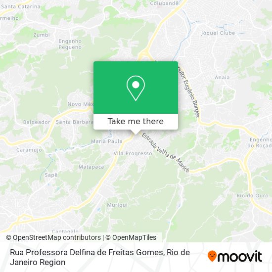 Rua Professora Delfina de Freitas Gomes map