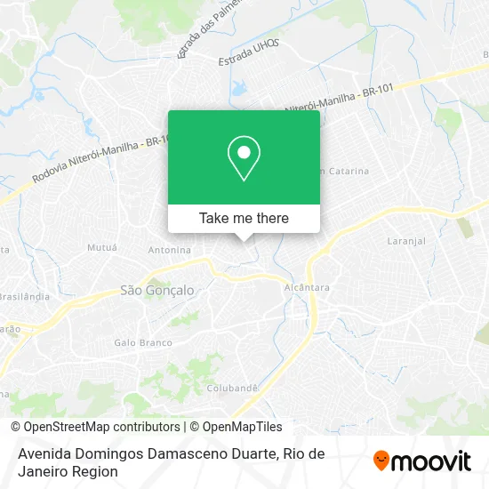 Avenida Domingos Damasceno Duarte map