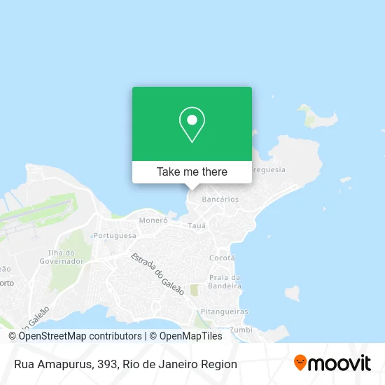 Rua Amapurus, 393 map