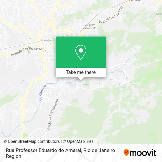 Rua Professor Eduardo do Amaral map