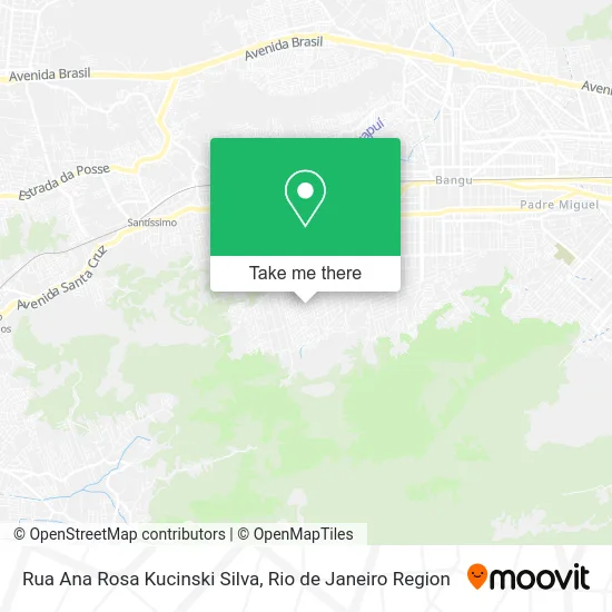 Rua Ana Rosa Kucinski Silva map