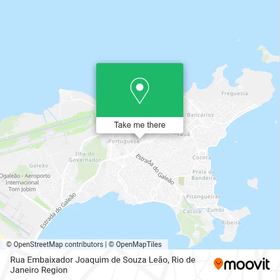 Rua Embaixador Joaquim de Souza Leão map