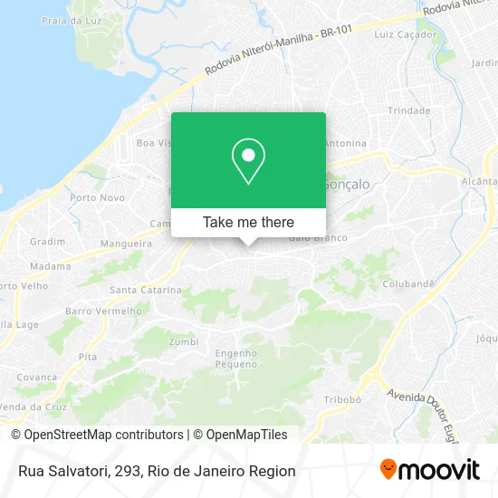 Rua Salvatori, 293 map