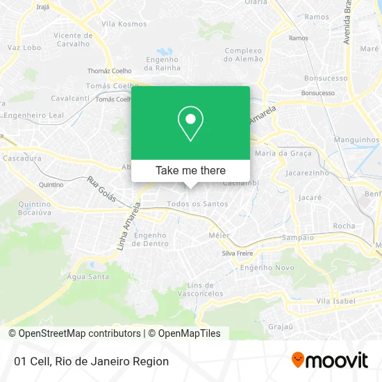 01 Cell map