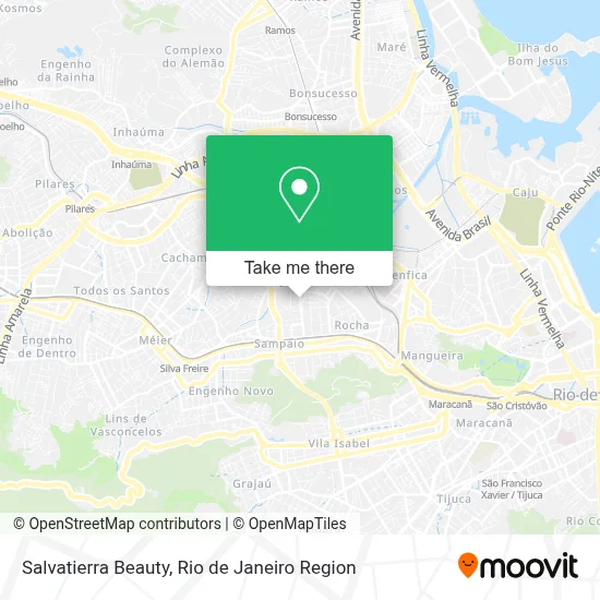 Salvatierra Beauty map