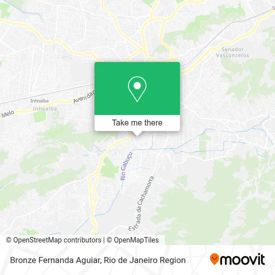 Bronze Fernanda Aguiar map