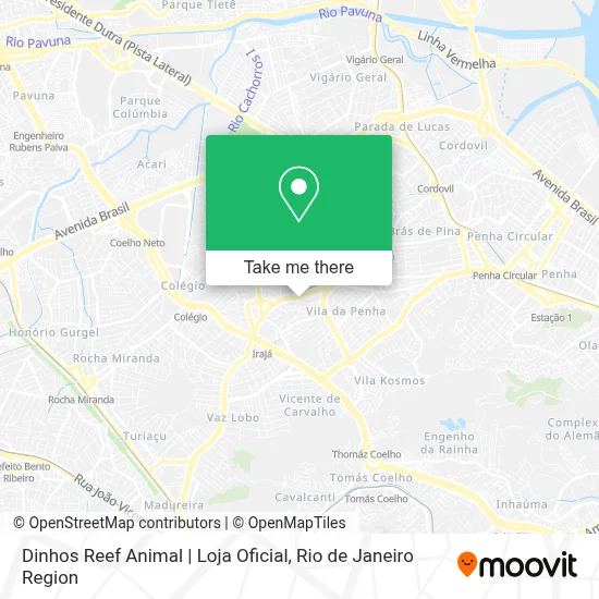 Dinhos Reef Animal | Loja Oficial map