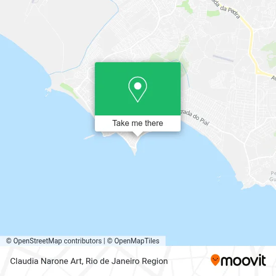 Claudia Narone Art map